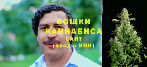 трава Лабытнанги