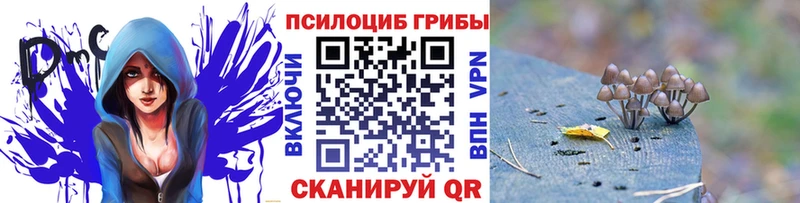 Купить где  Богородск  Галлюциногенные грибы прущие грибы 
